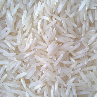 grocery